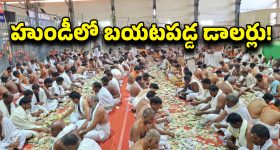 Viral Video: మసాలా నూరి, గరిటె తిప్పి.. ఘుమ ఘుమలాడే వంటలు చేస్తున్న ఏనుగు!