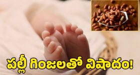Mahabubabad News: పల్లీ గింజ గొంతులో ఇరుక్కొని.. 18 నెలల బాలుడు మృతి