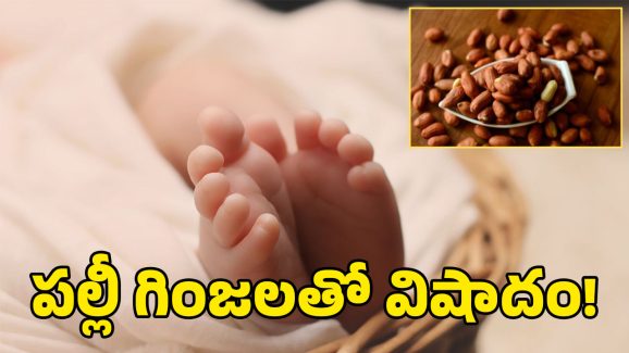 Mahabubabad News: పల్లీ గింజ గొంతులో ఇరుక్కొని.. 18 నెలల బాలుడు మృతి