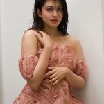 Pranitha Subhash: చూయింగ్ గమ్ డ్రెస్‌లో ప్రణీత.. వాట్ ఏ క్రియేటివిటీ.!