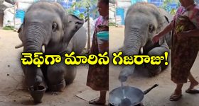 AP Mid Day Meal: విద్యార్థులకు గుడ్ న్యూస్.. ఇకపై వద్దన్నా.. బడిలో భోజనం తినేస్తారు