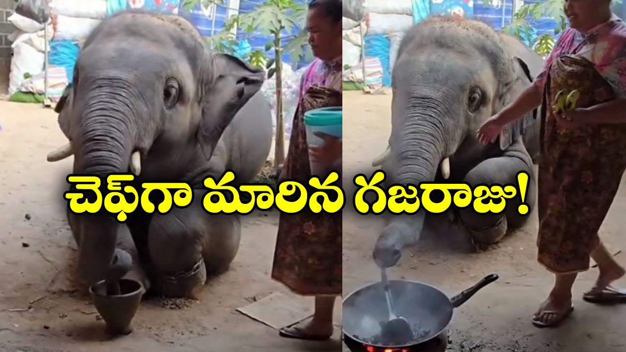 Viral Video: మసాలా నూరి, గరిటె తిప్పి.. ఘుమ ఘుమలాడే వంటలు చేస్తున్న ఏనుగు!