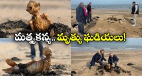 Mermaid Skeleton: బీచ్ లో మత్స్యకన్య అస్థిపంజరం, భారీ ప్రళయం తప్పదా?