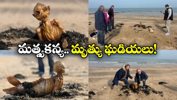 Mermaid Skeleton: బీచ్ లో మత్స్యకన్య అస్థిపంజరం, భారీ ప్రళయం తప్పదా?