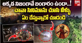 SBI Recruitment: SBIలో 1194 ఉద్యోగాలు.. దరఖాస్తుకు ఇంకా వారం రోజులే గడువు