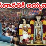 Sri Vari Kalyanam : అమ‌రావ‌తిలో తిరుమల శ్రీవారి కళ్యాణం.. రాజధానికి రానున్న స్వామివారు