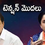 KCR Plan: రాములమ్మ దూకుడు.. బీఆర్ఎస్ నేతల బేజారు, ఎందుకు?