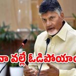 Chandrababu: అప్పట్లో ఆ తప్పులు జరిగాయి.. అసెంబ్లీలో బాబు ఇంట్రస్టింగ్ కామెంట్స్