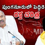 Punganur Murder Case: టీడీపీ కార్యకర్త హత్య..పెద్దిరెడ్డి కీలక నిందితుడు!
