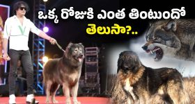 Suryakumar Yadav - MI: పాండ్యాపై వేటు..ముంబైకి కొత్త కెప్టెన్‌ !