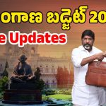 Telangana Budget 2025: తెలంగాణ బడ్జెట్.. ఏయే శాఖలకు ఎంత కేటాయించారంటే!