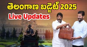 Telangana Budget 2025: తెలంగాణ బడ్జెట్.. ఏయే శాఖలకు ఎంత కేటాయించారంటే!