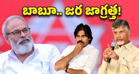 JanaSena: నాగబాబు నయా రోల్!.. నోరు ఉన్నోడిదే రాజ్యమా?