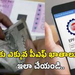 Merge PF Accounts: మీ ఎక్కువ పీఎఫ్ ఖతాలను ఇలా ఈజీగా మెర్జ్ చేసుకోండి..స్టెప్ బై స్టెప్ ప్రాసెస్