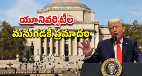 Aloe Vera For Hair: అలోవెరా ఇలా వాడితే.. జుట్టు వద్దన్నా పెరుగుతుంది !