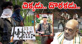 More Protein Foods: గుడ్లు కంటే ఎక్కువ ప్రోటీన్ కలిగిన సూపర్ ఫుడ్స్ ఇవే.. మిస్ కావద్దు!
