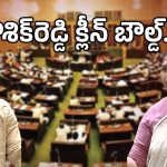 TS Assembly: లైఫ్ స్టైల్ లొల్లి.. కౌశిక్‌రెడ్డిని ఆటాడుకున్న సీతక్క