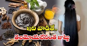 Fast Hair Growth Tips: ఇది వాడితే.. తల మోయలేనంత జుట్టు