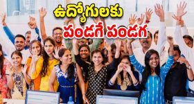 PF Withdrawal Process: పీఎఫ్ ఎలా విత్ డ్రా చేసుకోవాలి..రూల్స్ ఏంటో తెలుసా..