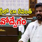 CM Revanth Reddy: నన్ను బల్లులు తిరిగే రూంలో బంధించారు.. అసెంబ్లీ వేదికగా సీఎం రేవంత్ భావోద్వేగం