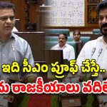 KTR: సీఎం రేవంత్ రెడ్డికి అసెంబ్లీ వేదికగా కేటీఆర్ సవాల్.. ఇక నువ్వో.. నేనో తేల్చుకుందాం..