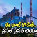 NTPC-NGEL: సువర్ణవకాశం.. డిగ్రీ అర్హతతో భారీగా ఉద్యోగాలు.. రూ.11,00,000 జీతం భయ్యా..