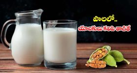 US Embassy Cancel Visa: భారతీయులకు షాకిచ్చిన అమెరికా ఎంబసీ .. 2000 మంది వీసా దరఖాస్తులు రద్దు