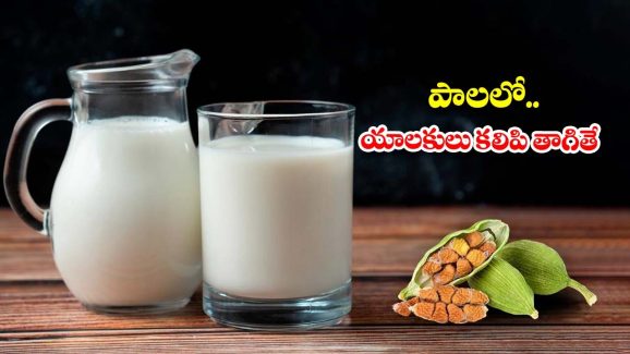Cardamom Milk: పాలలో.. ఏలకులు కలిపి తాగితే ?