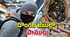 Thieves Use Python: కొత్త ప్లాన్ వేసిన దొంగలు.. సూపర్ మార్కెట్లో పాములతో చోరీ