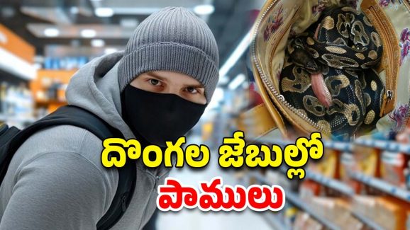 Thieves Use Python: కొత్త ప్లాన్ వేసిన దొంగలు.. సూపర్ మార్కెట్లో పాములతో చోరీ