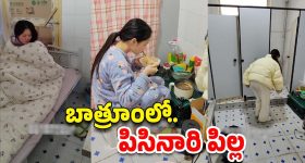 Ugadi Pachadi Shadruchulu: ఉగాది పచ్చడి ప్రాముఖ్యత తెలుసా..? షడ్రుచుల సమ్మేళనం దేనికి సంకేతమంటే..?
