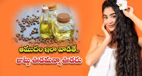 Castor Oil: ఆముదం ఇలా వాడితే.. జుట్టు ఊడమన్నా ఊడదు