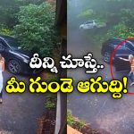 Viral Video: ఆ కారులో ఏముంది? ఆమె అంత భయంతో పరిగెట్టింది?