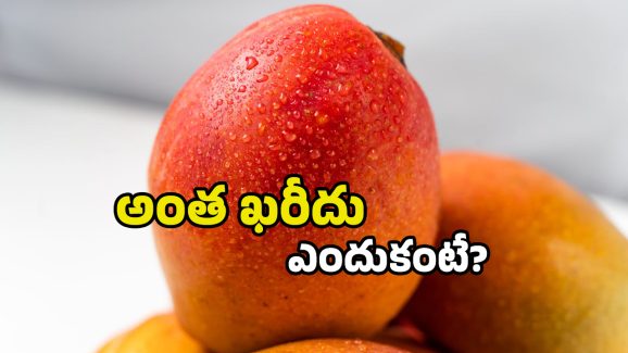 Costliest Mango: ప్రపంచంలోనే ఖరీదైన మామిడి పండు ఇదే.. కిలో రూ.లక్ష పైనే!