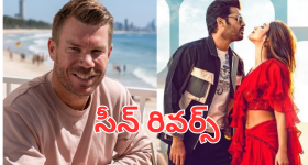 David Warner: అంతా బిల్డపే.. వార్నర్ వల్ల ఒరిగిందేంటి?