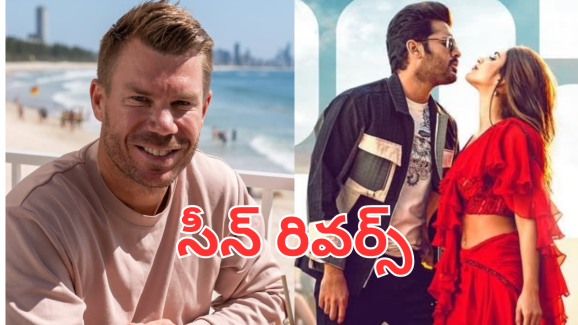 David Warner: అంతా బిల్డపే.. వార్నర్ వల్ల ఒరిగిందేంటి?