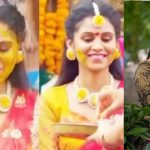 Bigg Boss Yashmi Gowda: పెళ్లి పీటలెక్కనున్న బిగ్ బాస్ బ్యూటీ.. హల్దీ వేడుకల్లో హల్చల్..!
