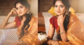 Tollywood: తెలుగులో అదృష్టాన్ని పరీక్షించుకోబోతున్న యంగ్ హీరోయిన్స్.. వర్కౌట్ అయ్యేనా..?
