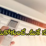 AC Buying Tips: ఏసీ కొనాలని చూస్తున్నారా.. ఈ 5 విషయాలు తప్పక తెలుసుకోవాల్సిందే..