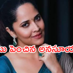 Anasuya : అనసూయ కెరీర్ లో హైయెస్ట్ రెమ్యూనరేషన్ తీసుకున్న సినిమా ఏదో తెలుసా..?
