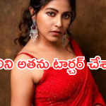Anjali:  అంజలి మళ్లీ ప్రేమలో పడిందా..? అతని కోసమేనా..?