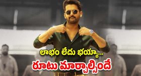 Nithiin : నెరవేరని కల.. నితిన్ భవిష్యత్తు ఏమిటీ?