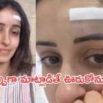 Actress Anshu : పబ్లిసిటీ కోసం చెయ్యలేదు.. అసలు నిజం చెప్పిన హీరోయిన్..