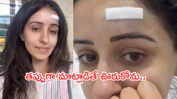 Actress Anshu : పబ్లిసిటీ కోసం చెయ్యలేదు.. అసలు నిజం చెప్పిన హీరోయిన్..