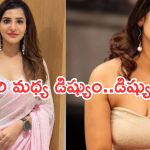 Ashu Reddy : అరియానా వల్లే నాకు కష్టాలు.. ఏడాదిగా అతి కష్టంగా ఉంది..