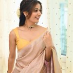Ashika Ranganath : చీరలో ఒంపుసొంపులతో వయ్యారాలు ఓలకబోస్తున్న ఆషిక..
