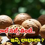 Walnuts Benefits: వాల్‌నట్స్ తింటే.. ఈ ఆరోగ్య సమస్యలు రమ్మన్నా రావు !