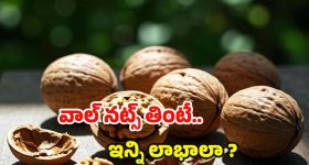 Walnuts Benefits: వాల్‌నట్స్ తింటే.. ఈ ఆరోగ్య సమస్యలు రమ్మన్నా రావు !