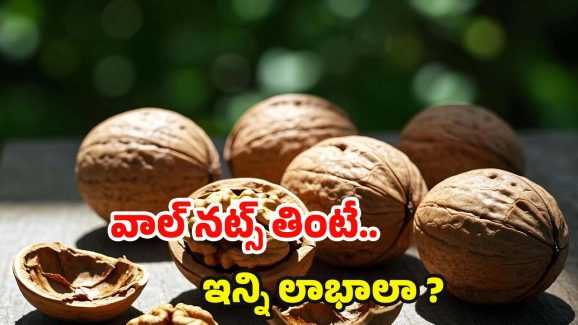Walnuts Benefits: వాల్‌నట్స్ తింటే.. ఈ ఆరోగ్య సమస్యలు రమ్మన్నా రావు !