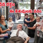 Blood Donor Dies : 24 లక్షల మంది శిశువుల ప్రాణాలు కాపాడిన ఆ పెద్దాయన ఇక లేరు